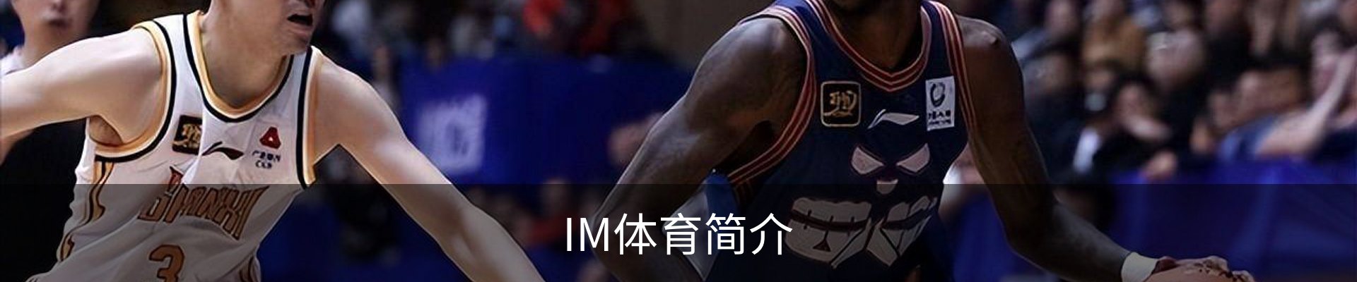IM体育简介